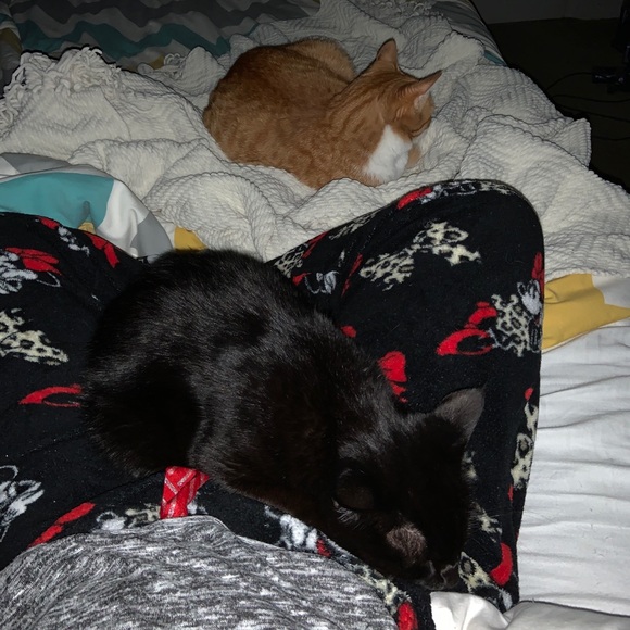 Meet your Posher, Ariel - Picture 8 of 8